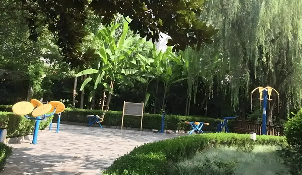 深圳积分入户2025年网站_刷短剧治愈上班的痛！再让我看广告就太过分了吧 的百共同温暖从容书写岁人生